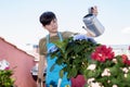 Young teen wearing a gardening apron while watering a home plant at a home terrace in a sunny day