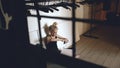 Young teenage girl dancer crying and tearing book sits on floor in hall indoors Royalty Free Stock Photo