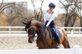 Young teenage girl patting her horse after good training