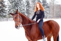 Young teenage girl riding bay horse in winter park Royalty Free Stock Photo