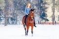 Young teenage girl with bay horse in winter park Royalty Free Stock Photo
