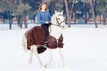 Young teenage girl with white horse in winter park Royalty Free Stock Photo