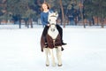 Young teenage girl with white horse in winter park Royalty Free Stock Photo