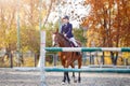 Young teenage girl riding horse before her show jumping test Royalty Free Stock Photo