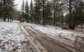 Young teenage girl walking on a frozen road at Troodos mountains in Cyprus Royalty Free Stock Photo