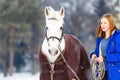 Young teenage girl with white horse in winter park Royalty Free Stock Photo