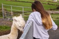 Young teenager girl feeding funny lama in an open farm or zoo. Warm summer sunny day. Learning nature concept