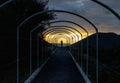 Young Teenager Walking on a Path at Sunset. Sun Flare, Calm and Peaceful Atmosphere. Concept of Success in a Natural Setting Royalty Free Stock Photo