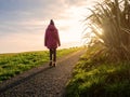 Young teenager walking on a path at sunset. Sun flare, calm and peaceful atmosphere