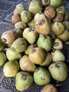 Young Thai coconuts are well known for being the best in the world