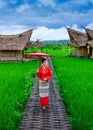 Young Thai woman wearing traditional Lanna clothing walks on a bamboo bridge in the middle of a rice field with a backdrop of a Royalty Free Stock Photo