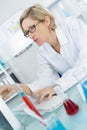 Young thoughtful female chemist working in lab Royalty Free Stock Photo