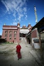 Young tibetan lama