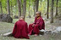 Young tibetan Monks