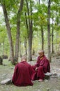 Young tibetan Monks