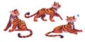 Young tiger cartoon character in different poses