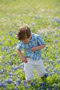 Young Boy in Field of Blue Bonnets Royalty Free Stock Photo
