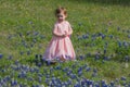 Young Girl in Field of Blue Bonnet Flowers Royalty Free Stock Photo