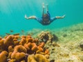 Young tourist man swimming in the turquoise sea under the surface near coral reef with snorkelling mask for summer Royalty Free Stock Photo