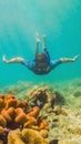 Young tourist man swimming in the turquoise sea under the surface near coral reef with snorkelling mask for summer Royalty Free Stock Photo
