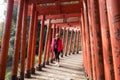 Red torii in YÃÂ«toku Inari Shrine fukuoka japan