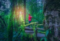 Young tourists stand on a wooden bridge and green moss at Angka nature trail in Doi Inthanon national park, Thailand