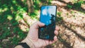 Young traveler hiking man walking through the woods with a mobile phone in his hand Royalty Free Stock Photo