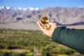 Young traveler looking at compass in Himalaya mountain view background (Focus on compass) Royalty Free Stock Photo