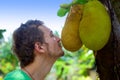 Young traveler man look at breadfruit tree fruits