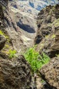 Young traveler stays on the top of huge boulder in the Masca gorge, Tenerife, showing solidified volcanic lava flow layers and