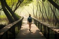 Young traveler walking on wooden path in the mangrove forest.