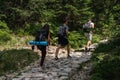 Young travelers hikers with bagpacks walking in the mountains, freedom, achievment and active lifestyle concept
