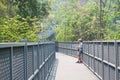 Young traveller looking on map, Canopy Walk Royalty Free Stock Photo