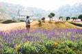 Young traveller looking on map, Queen Sirikit Botanic Garden, Chiang Mai Royalty Free Stock Photo