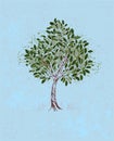 Young tree on a blue background