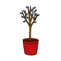Young tree doodle icon, vector color line illustration Royalty Free Stock Photo