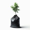 Young tree sits in soil filled plastic bag, isolated against white