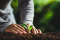 Beautiful nature,green bokeh,Plant tree in neutral background Close-Up Of Fresh Green Plant,Young hand Royalty Free Stock Photo