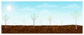 Young trees growing in brown fertile soil background. Springtime horizontal landscape with small saplings plantation. arbor day