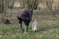 A young truffle dog in a hazel grove of the Langhe, Piedmony - I