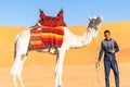 Young Tuareg posing with his dromedary Royalty Free Stock Photo