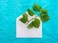 Young twig with green leaves in envelope over blue crumpled decorative paper background.