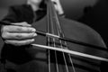 Young unidentifiable musician playing on the double bass