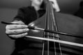 Young unidentifiable musician playing on the double bass