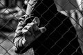 Young unidentifiable teenage boy holding the wired garden at the correctional institute in black and white