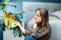 Young upset, sad woman examining dried dead foliage of her home Monstera plant. Houseplants diseases. Diseases Disorders Royalty Free Stock Photo