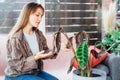 Young upset, sad woman holding dried dead foliage of her home plant Calathea. Houseplants diseases. Diseases Disorders Royalty Free Stock Photo