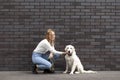 Young urban girl caresses a dog on the street against a wall, a woman walks a retriever puppy and hugs him Royalty Free Stock Photo