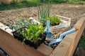 Raised garden bed covered with straw mulch Royalty Free Stock Photo