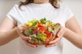 Young vegetarian woman holds bowl full of vegetable salad Royalty Free Stock Photo